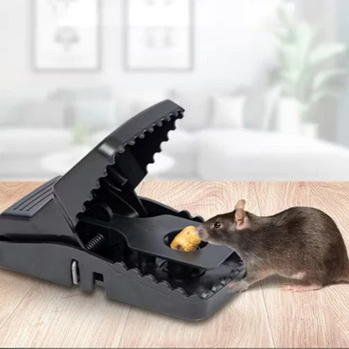 Quick Set Plastic Mouse Trap