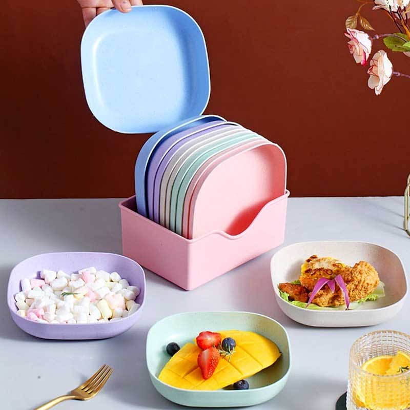 10-Piece Elegant Dinner Plates with Holder