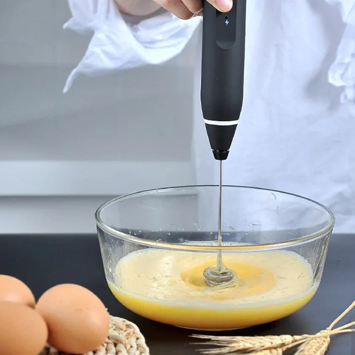 Eco Whisk Coffee Frother & Beater