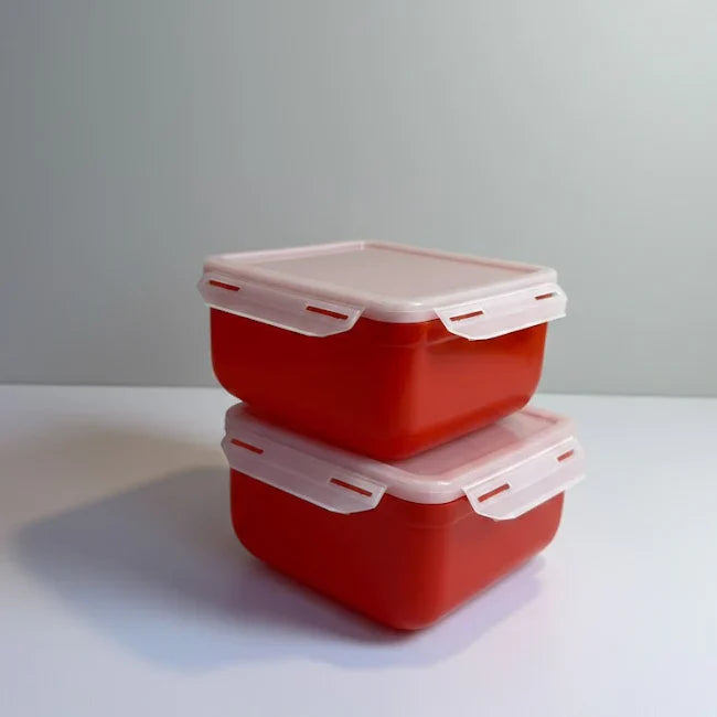 Fresh & Easy 2 Piece Airtight Food Containers