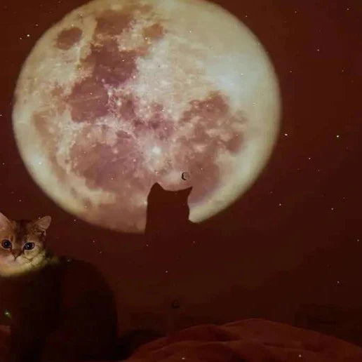 Mini Moon Light Projector Lamp