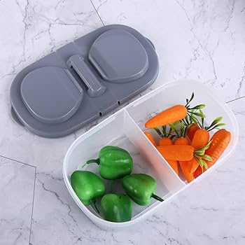 Dual Compartment Food Container