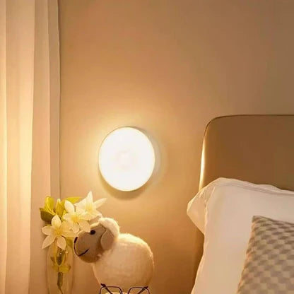 Intelligent Induction Lamp
